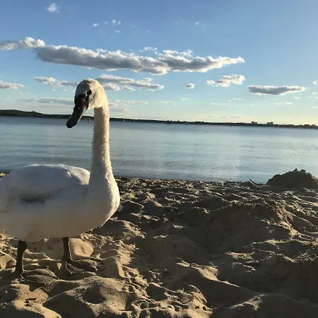 Mediterrane Luxusferienwohnung 5, Berlin- Koepenick, Am Mueggelsee 公寓